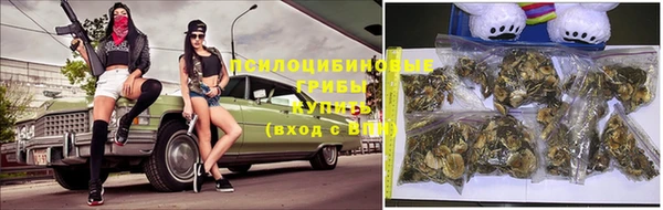 стаф Протвино